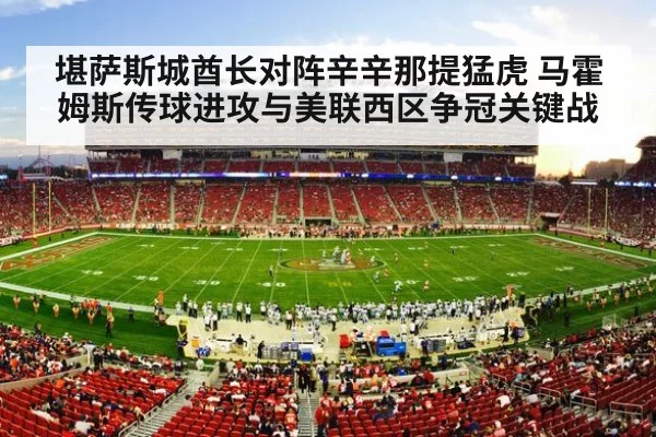 american football stadium crowd