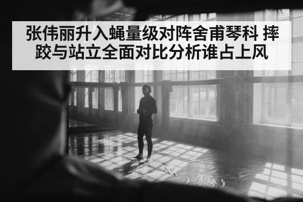 张伟丽升入蝇量级对阵舍甫琴科 摔跤与站立全面对比分析谁占上风